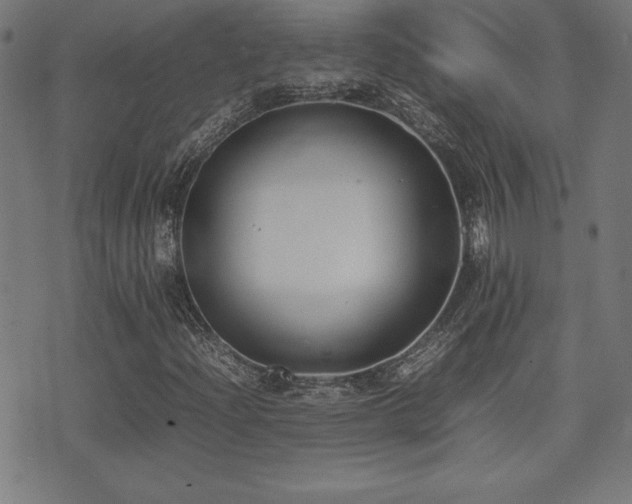 X0000075391204200609081221