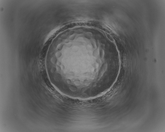 X0000075391208200609081221