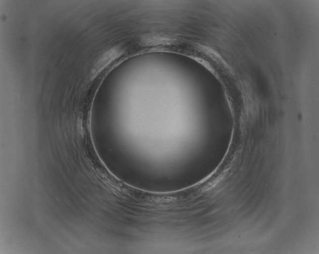 X0000075391209200609081221