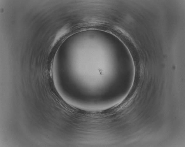 X0000075391210200609081221