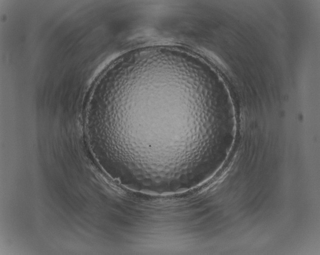 X0000075391212200609081221