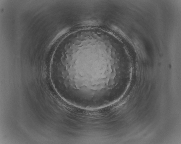 X0000075391213200609081221