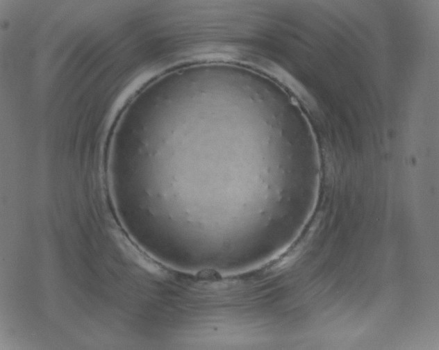 X0000075391240200609081222