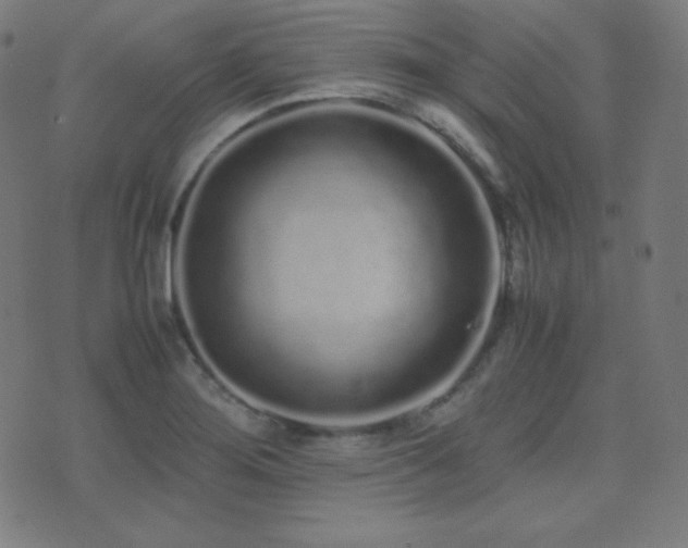 X0000075391276200609081221
