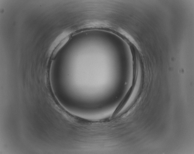 X0000075391277200609081221