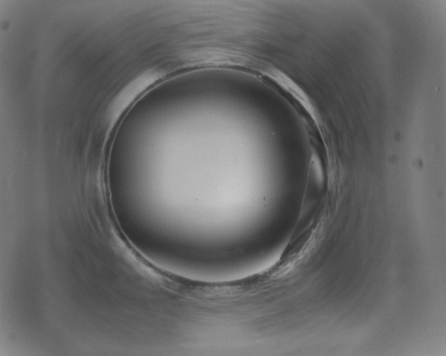 X0000075391293200609081220
