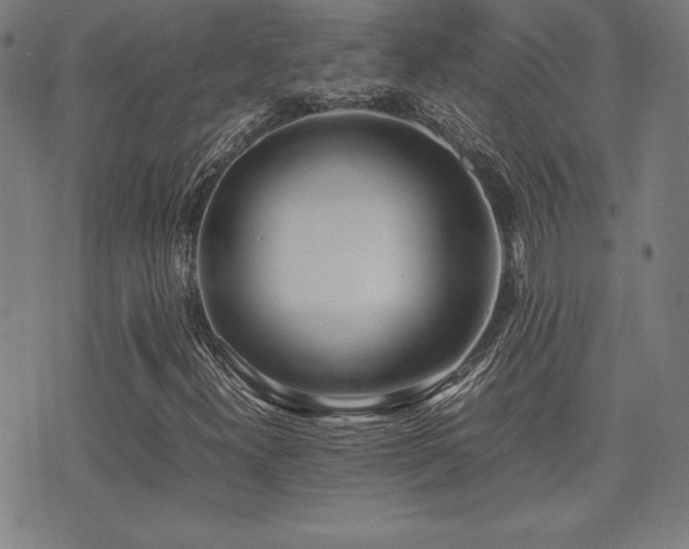 X0000075391300200609081220