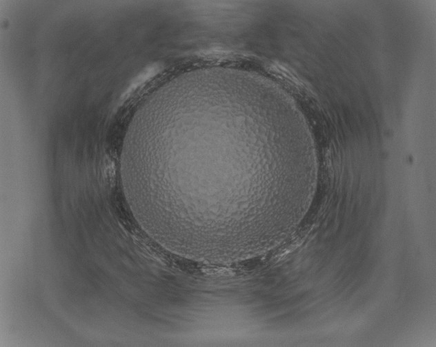 X0000075391302200609081220