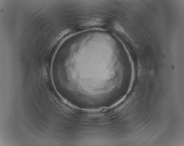 X0000075391305200609081220
