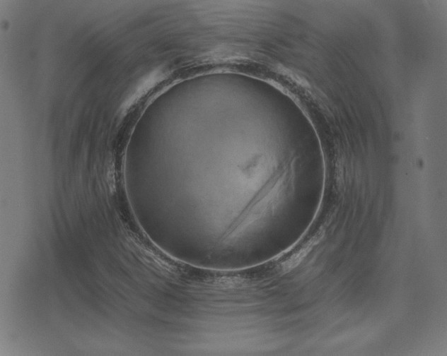 X0000075391306200609081220