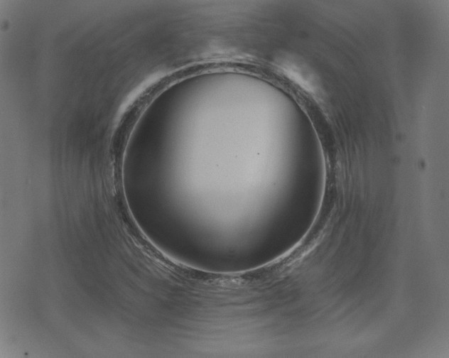 X0000075391310200609081220