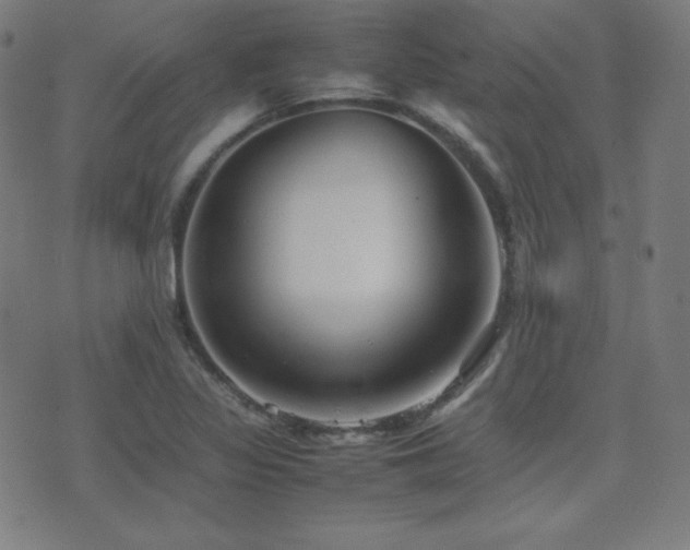 X0000075391317200609081220