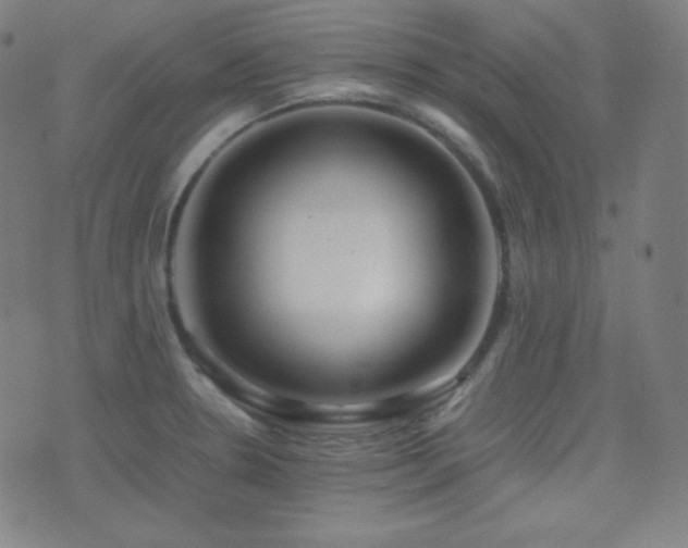 X0000075391330200609081220