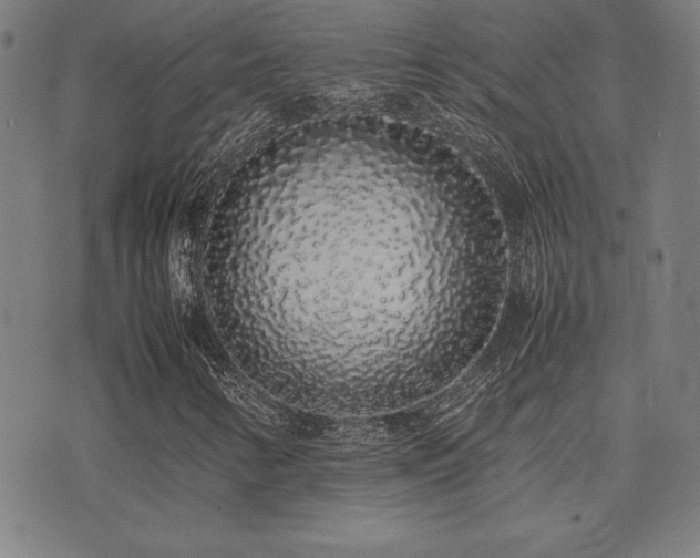 X0000075391346200609081219