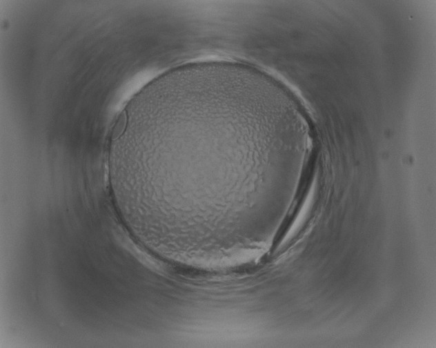 X0000075391367200609081219