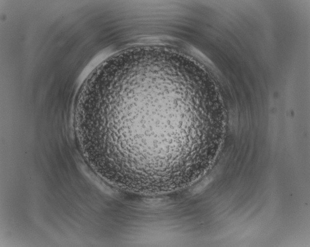 X0000075391378200609081219