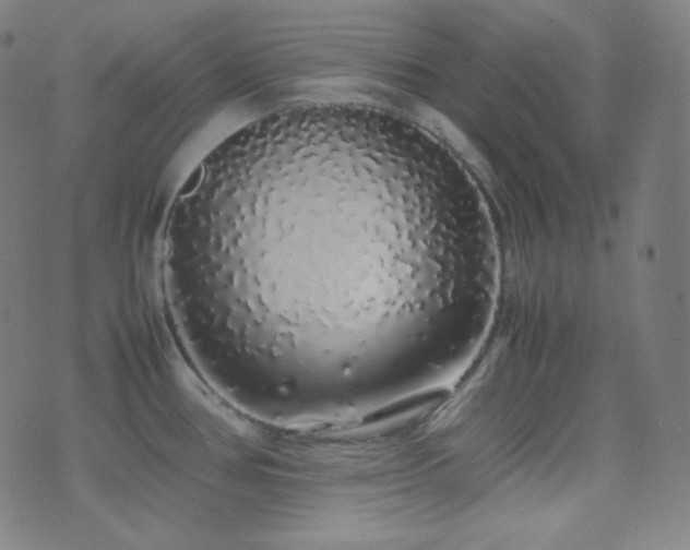 X0000075391386200609081219