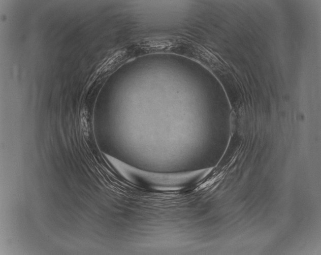 X0000075391394200609081218