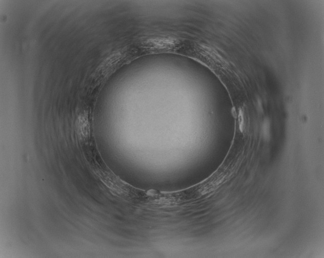 X0000075391395200609081218