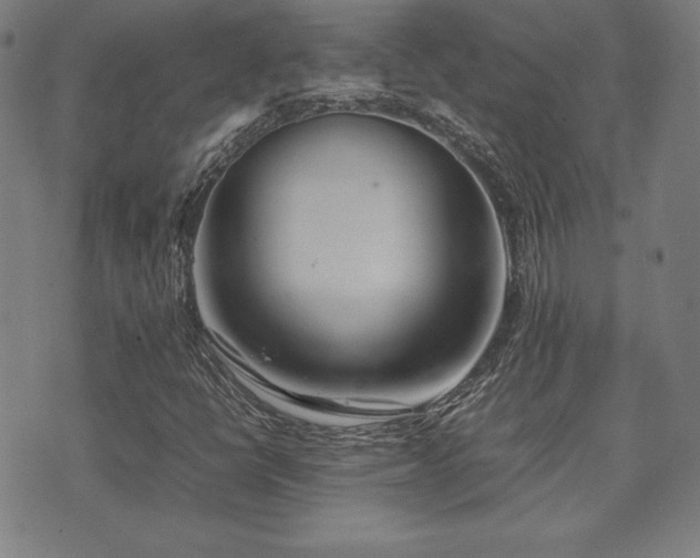 X0000075391398200609081218