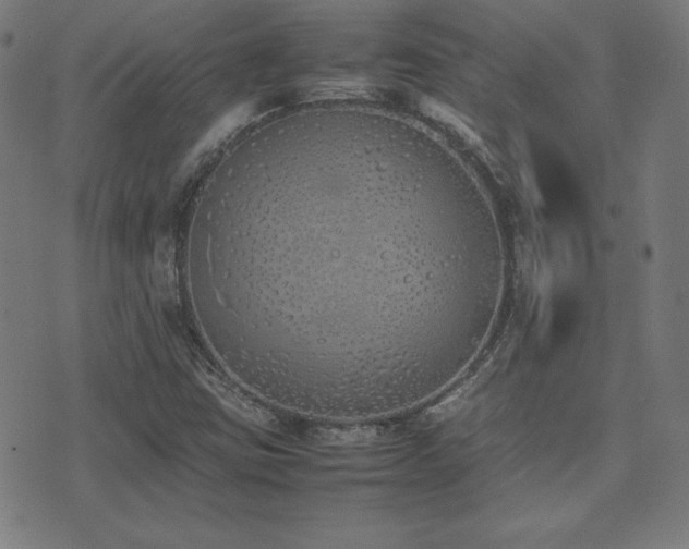 X0000075391403200609081218