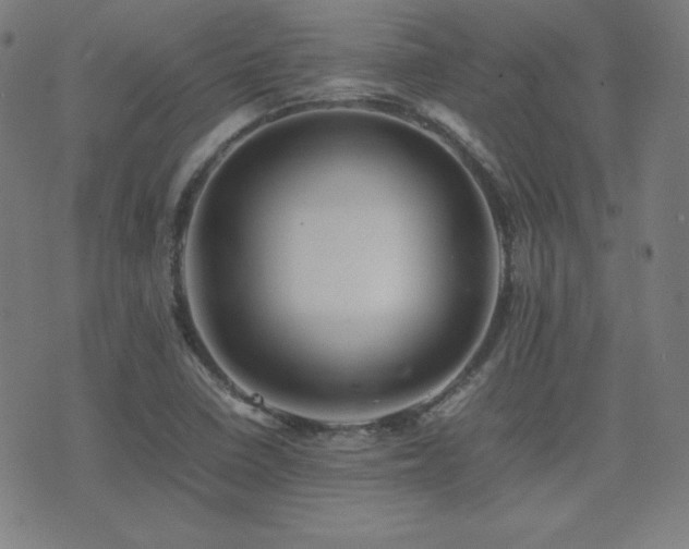 X0000075391410200609081218