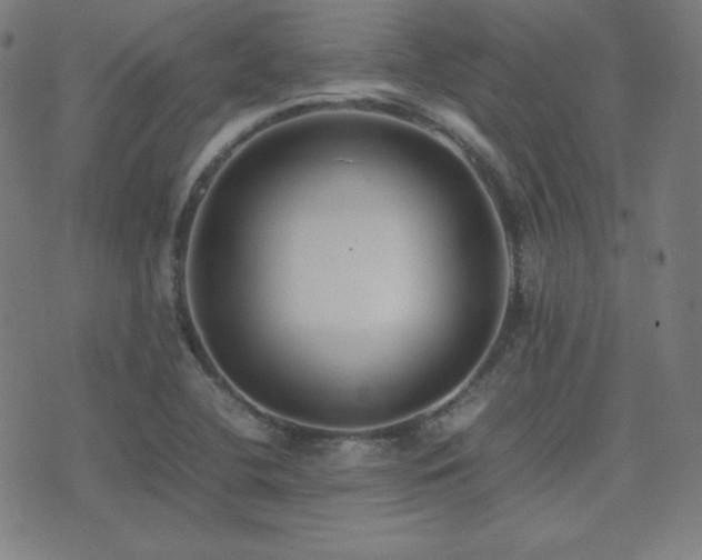 X0000075391412200609081218