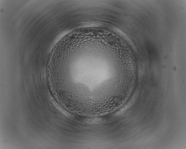 X0000075391417200609081218