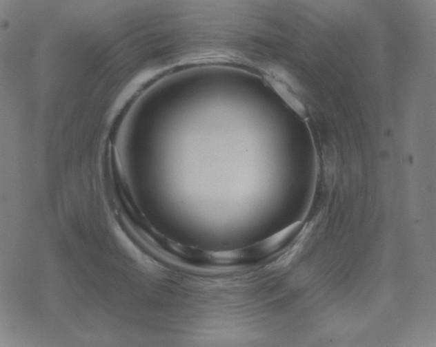 X0000075391422200609081218