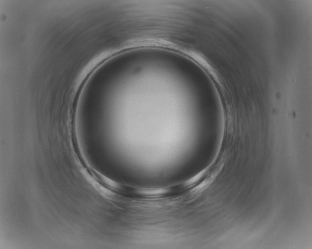 X0000075391438200609081219