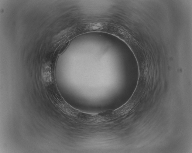 X0000075391442200609081218
