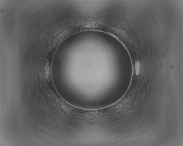 X0000075391444200609081218