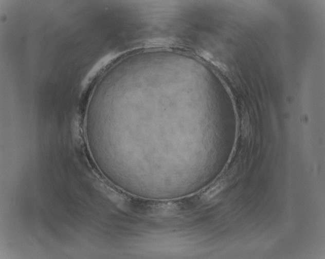 X0000075391454200609081218