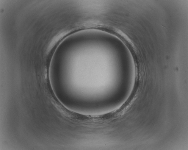X0000075391461200609081218