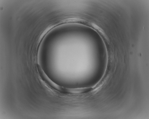 X0000075391473200609081217