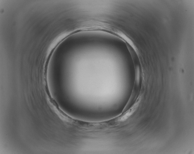 X0000075391485200609081217