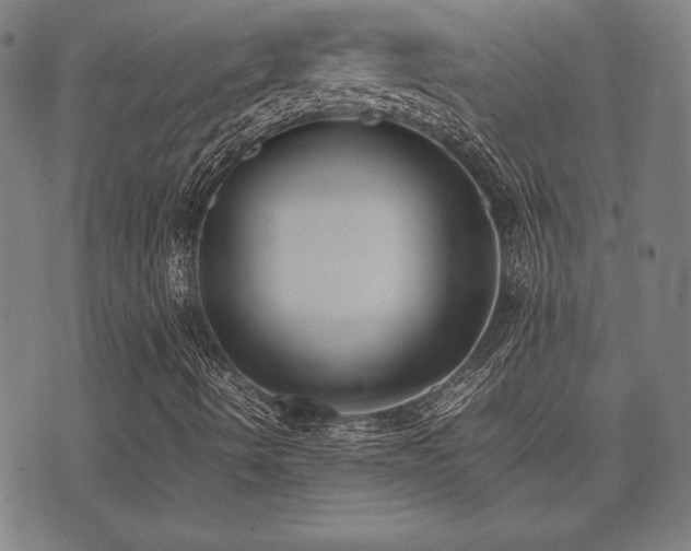 X0000075391490200609081216