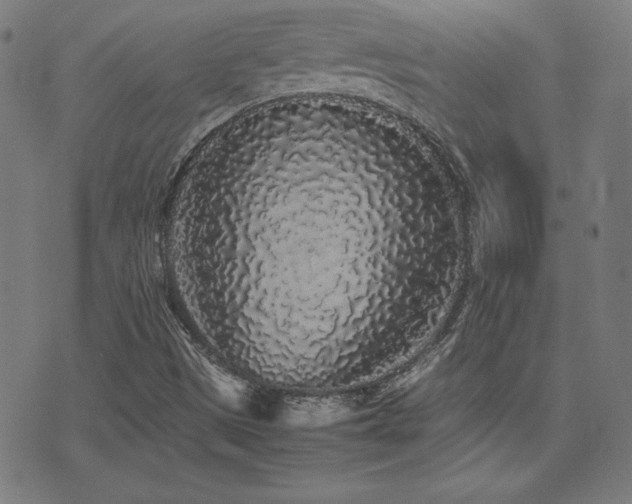 X0000075391497200609081216