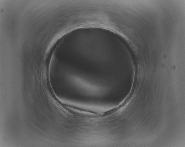 X0000075391506200609081217