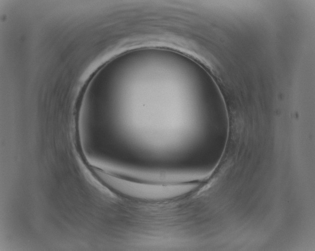 X0000075391518200609081217