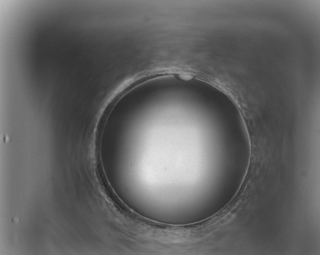 X0000075390008200609151806