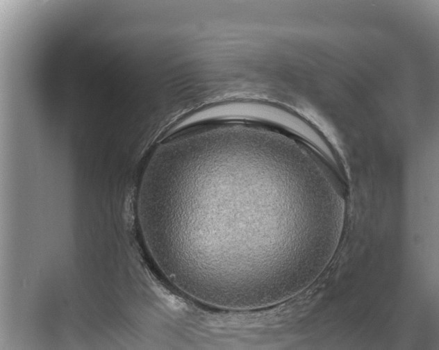 X0000075390009200609151806