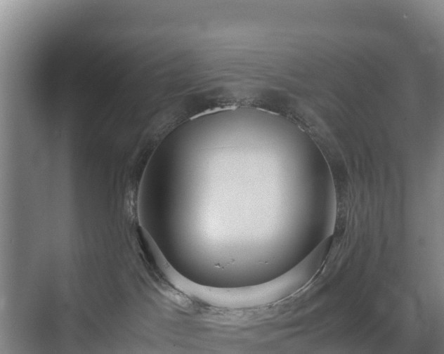 X0000075390045200609151806