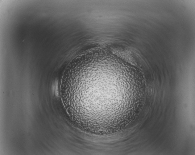 X0000075390046200609151806