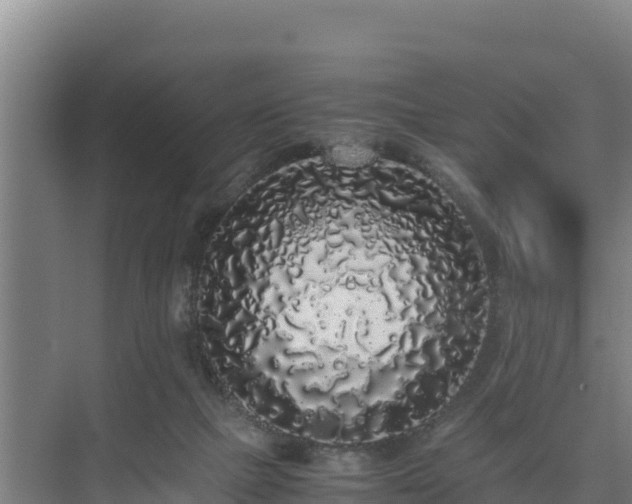 X0000075390073200609151805