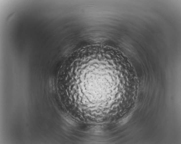 X0000075390182200609151804