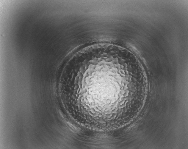 X0000075390249200609151802