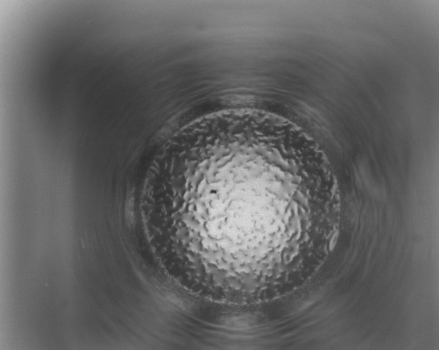 X0000075390267200609151802