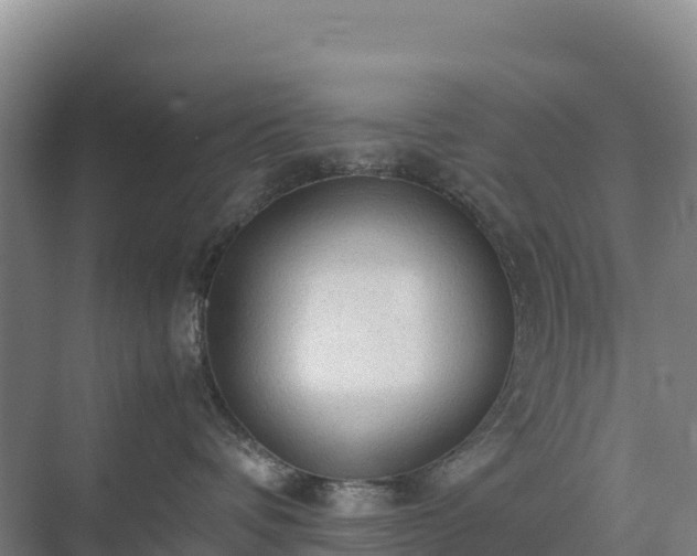 X0000075390336200609151801
