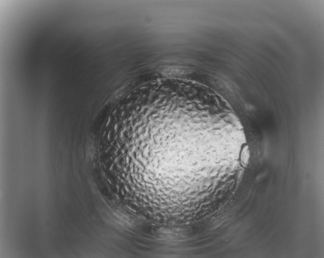 X0000075390367200609151800